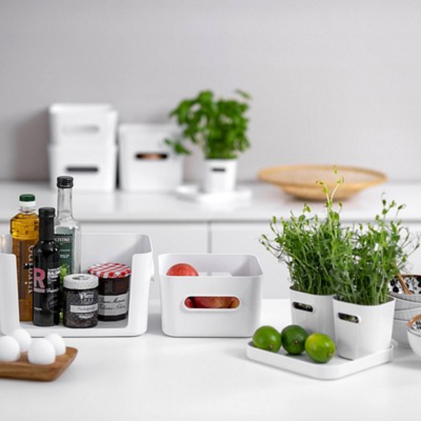 Compact White Square M - 3,6 L