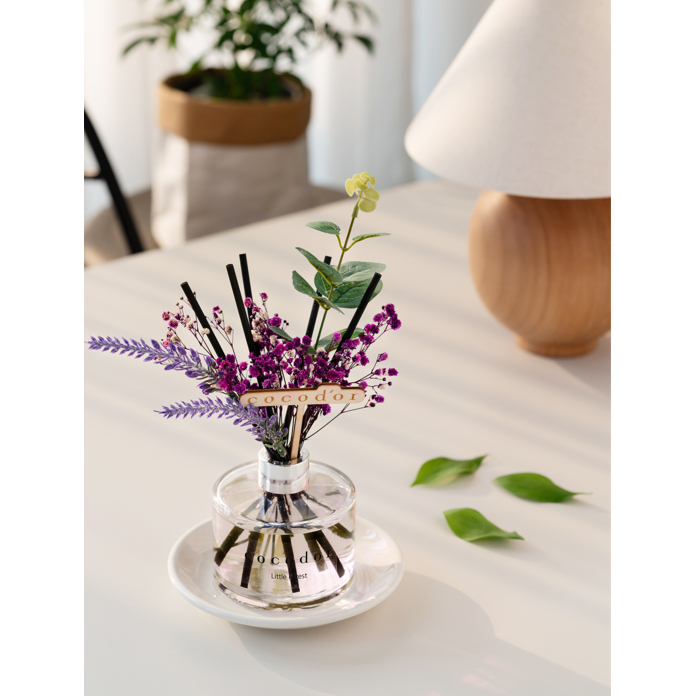 Cocodor Lavendel Geurstokjes