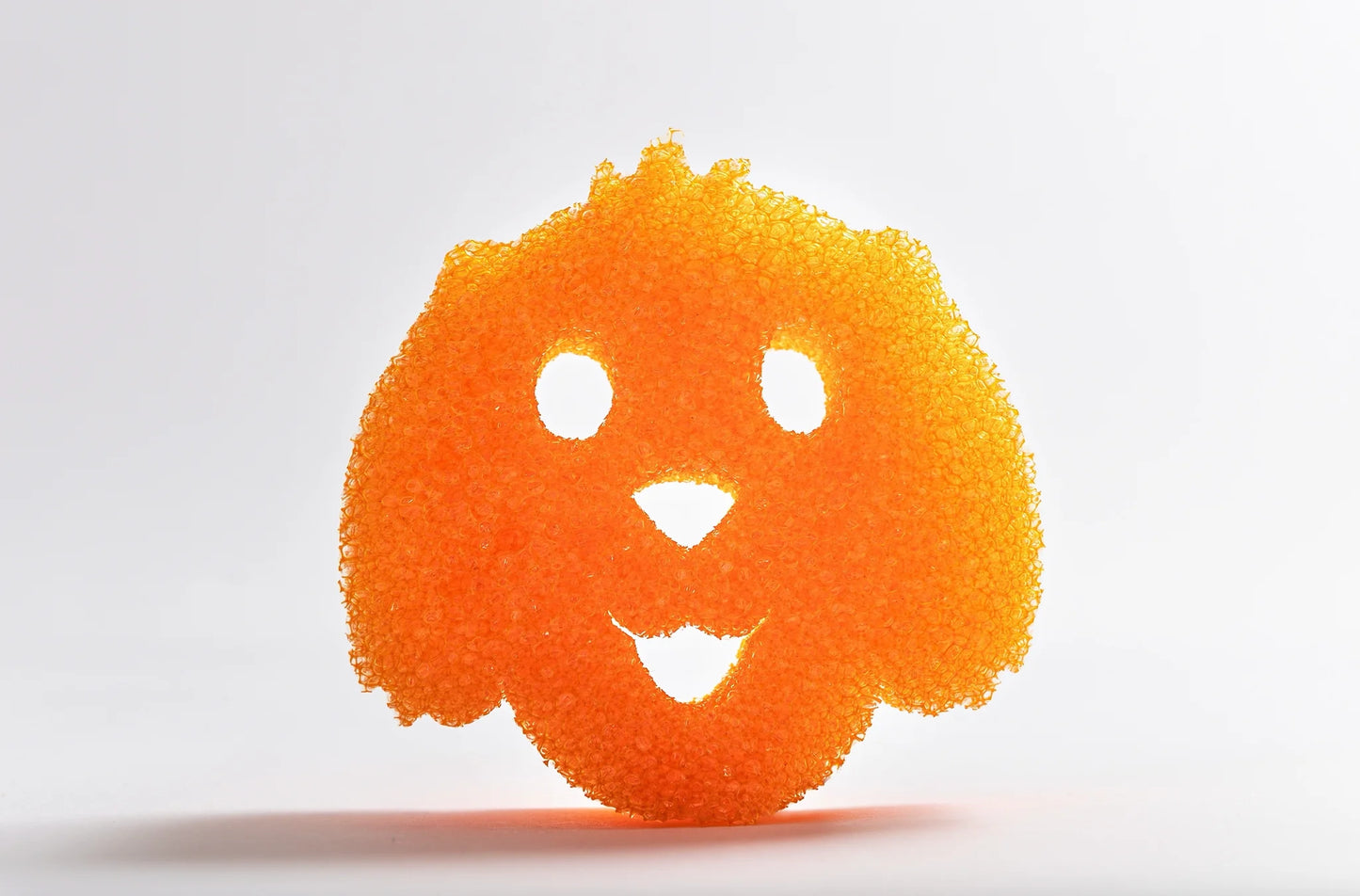 Scrub Daddy Hondje