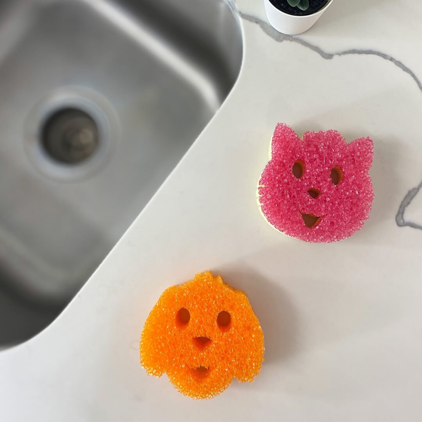 Scrub Daddy Hondje