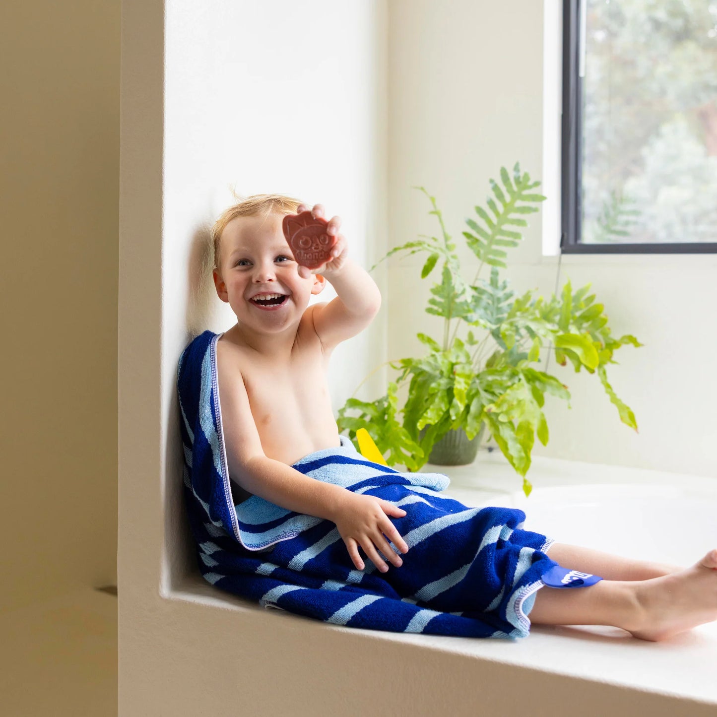 Wondr Kids Bar - Sweet Berries